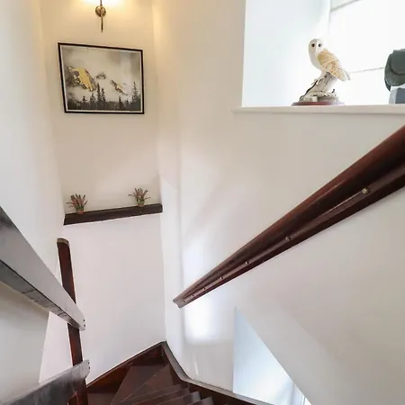 Ferienhaus Bay Tree *